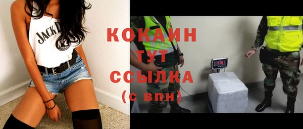 мяу мяу мука Баксан
