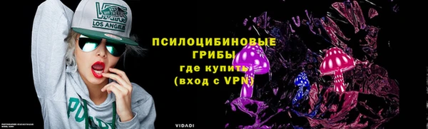 мяу мяу мука Баксан