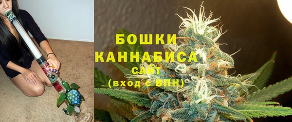 молекула духа Балахна