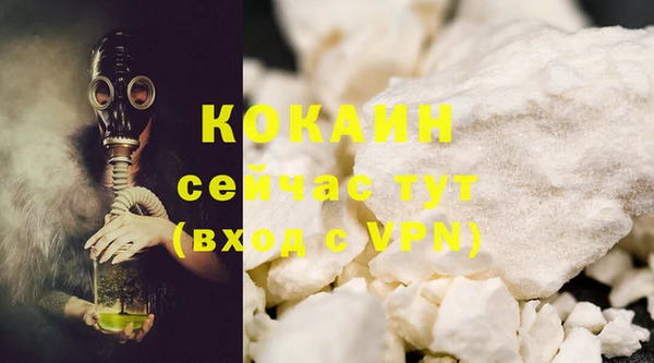 молекула духа Балахна